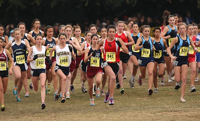 2010CIF XC GD5-1501.JPG - 2010 California CIF Cross Country Championships, Woodward Park, Fresno, California